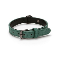 UrbanPets Suede Leather Dog Collar with Engravable Tag Photo
