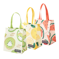 Pack of 3 Fruity Reusable Eco-friendly Recycled Shopper Grocery Bags Photo