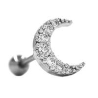 Androgyny Stainless Steel Moon Cartilage Stud Earring Set With Cubic Stones Photo