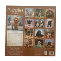 CHEF HOME Puppies 2021 Wall Calendar - Dogs Photo
