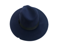 Wide Brim Panama Fedora Hat Photo