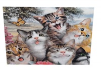 Diamond Dot Art painting - 30x30 - Funny Cats Photo
