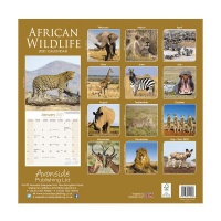 CHEF HOME African Wildlife 2021 Wall Calendar - African Wildlife Photo