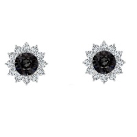 Stella Luna Mia earrings - With Swarovski Silver Night Crystal Rosegold Photo