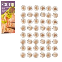 Seedleme Rooting Cloning Kit for Semi-Hardwood Cutting with Jiffy Root Pellets Photo