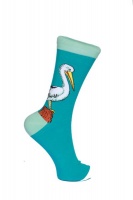 SoXology – Pelican Fashion Socks Single Pair Photo