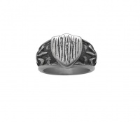 Stainless Steel Fancy Shield Signet Ring Photo