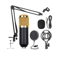 BM800 Professional Condenser Microphone Photo