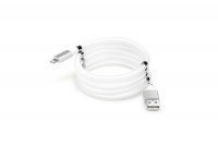 Apple Magnetic 8 Pin Charging & Data Cable for Devices Photo