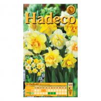 Hadeco Daffodil - Mixed - Double - 2 x 7 bulbs Photo