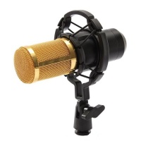 BM800 Condenser Microphone Recording With Shock Mount Kit Photo