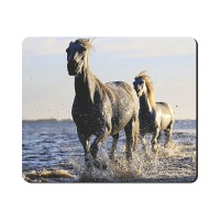 Mouse Pad - Horses In Water Photo