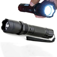 LED Flashlight With Stun Gun Photo