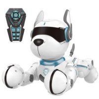 Robotics Dog Puggy Photo