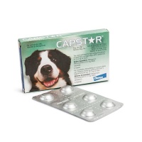Elanco Capstar - Flea Treatment For Large Dogs 11 1kg or More Photo