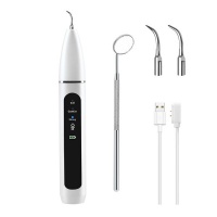 Portable 3 Working Modes Electric Ultrasonic Dental Calculus Remover Photo