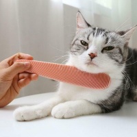 Cat Tongue Textured Grooming Brush Nurturing Brush-Pink Photo