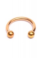 Fabulae PVD Gold Coated Circular Body Piercing Jewellery Daisy Photo