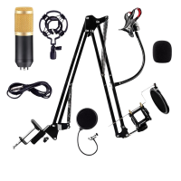 CK800 Professional Condenser Studio Microphone Set Photo