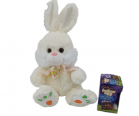 Easter Plush White Bunny Teddy Bear & Chocolate Egg Gift Set Photo