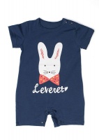 Navy Short Sleeve Bunny Babygrow Photo