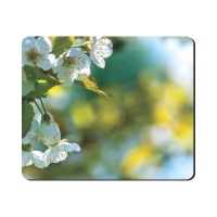 Mouse Pad - White Tree Flowers Photo