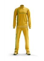 Ronex Tracksuit Rc-2003 Tricot Gold/Emerald Photo