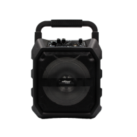 Kasinuo T62 Portable Karaoke Bluetooth Speaker Photo