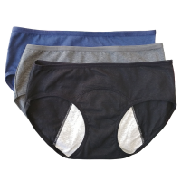 NOOI Liner Period Panty Non-Absorbent and Leakproof Photo