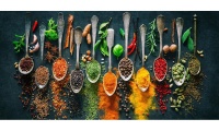 Spoonkie Canvas Art: Modern Art - Herbs and Spices Photo