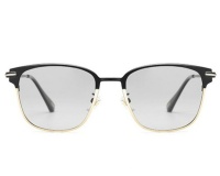Caponi Romulus Design Photochromic & Polarized Sunglasses Photo
