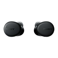 Sony WF-XB700 Truly Wireless Headphones with Extra Bass Photo