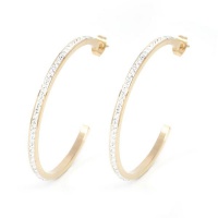 Cazabella Stainless Steel Rose Gold Hoops Photo