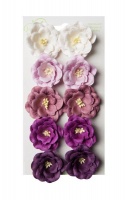Bloom Magnolias - Purple Photo