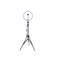 LED 10" Ring Light With Stand Photo