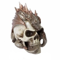 The Goth Spot Dragon Keeper's Skull Photo