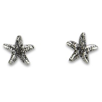 Trans Continental Marketing - Super Sweet Starfish Stud Earrings Photo