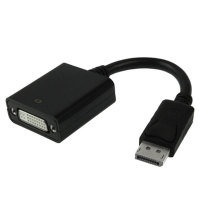 Display Port Male to DVI 24 1 Female Cable Adapter/Converter 20cm Photo