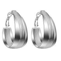 Silver Designer Wide Hoop Earrings Photo