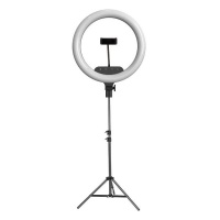 12" LED Ring Light With Tripod And Phone Holder Photo