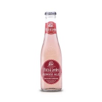 Fitch Leedes Fitch & Leedes Ginger Ale 24 x 200ml Glass Photo
