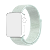 PiFit Light Green Apple Watch Strap / Band Nylon Loop 38/40mm - Series 1-6 Photo