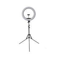 14" Dimmable LED Ring Light With Stand Photo