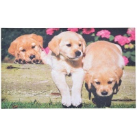 Esschert - Doormat Puppies Photo