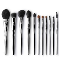 Makeup brush set Willou Cosmetics Professional 11 piece silver black pouch Photo