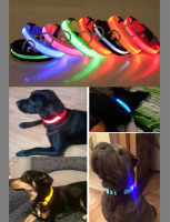 YoGo LED Luminous Pet Dog Collar Night Visibility - Waterproof - Red Photo
