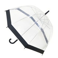 AK Clear Dome Umbrella with Coloured Trim Photo