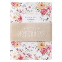 Christian Art Gifts Blessed Floral Stripe And Pink Set Of 3 Large Notebook Set Photo