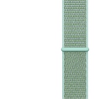 We Love Gadgets Universal Nylon Watch Strap 20mm Mint Photo
