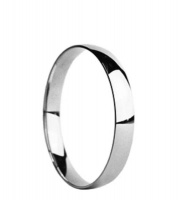 Solid Stainless Steel Solid Bangle - 10mm Photo